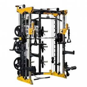 PH524 Multi Functional Trainer