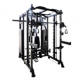 PH531 Multi Functional Trainer