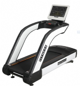 WH800 Commercial Treadmill