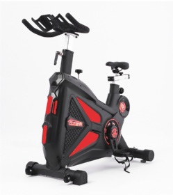 WH812  Spinning Bike