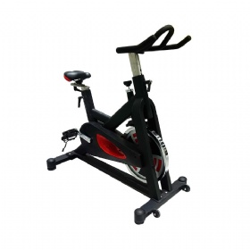 WH815 Magnetic Spinning Bike