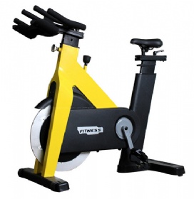 WH816  Magnetic Spinning Bike