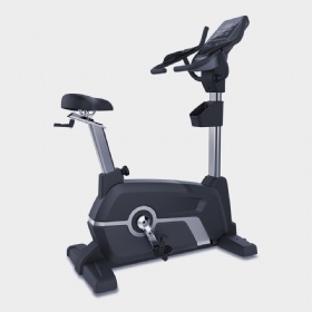 WH828 Upright Bike