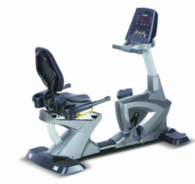 WH831 Recumbent Bike