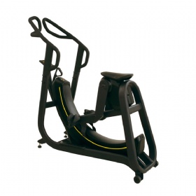 WH838 S-Force Performance Trainer