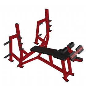 SE602 Olympic Decline Bench WT. Storage