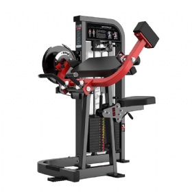 LA200-A Biceps Curl and Triceps Extension