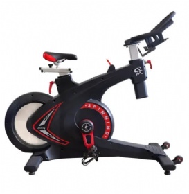 WH817-B Magnetic Spinning Bike