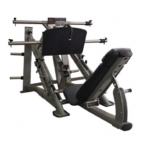 45 Degree Leg Press AE187