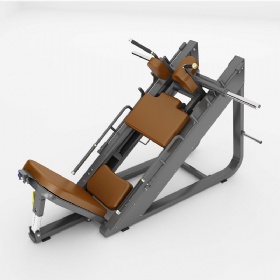 AE122 Leg Press and Hack Slide