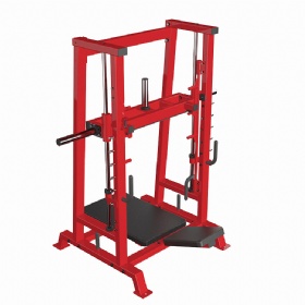 AE123  Vertical Leg Press