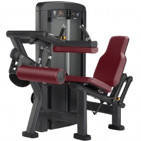 LB316 Seated Leg Curl