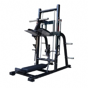 AE124-A Vertical Leg Press