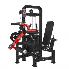 Leg Curl&Extension