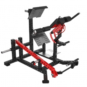 Dual 45 Degree Hip Extension