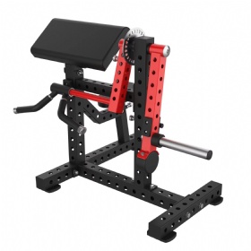 Biceps & Triceps Extension