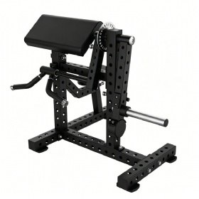 Biceps & Triceps Extension