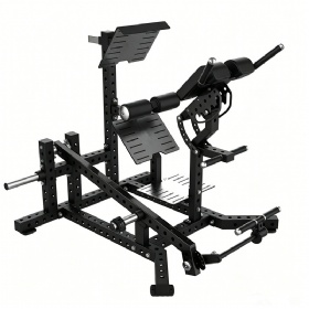 Dual 45 Degree Hip Extension