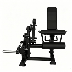Leg Curl& Extension