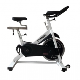 WH813 Spinning Bike