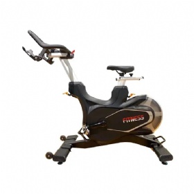 WH817-A Magnetic Spinning Bike