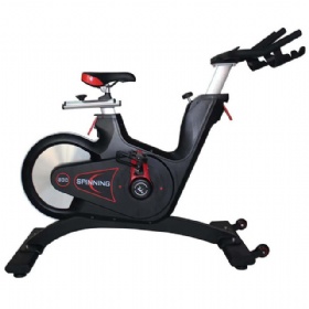 WH817 Magnetic Spinning Bike